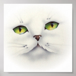 Affiches visage du chat