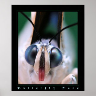 Affiches Visage papillon