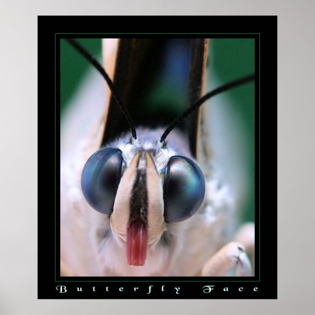 Affiches Visage papillon (Devant)
