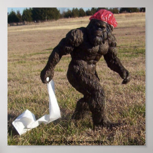 Affiches Visée de Bigfoot