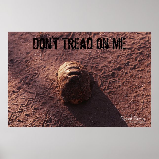 Affiches Vitesse (Devant)