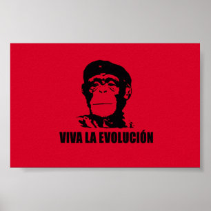 Affiches Viva La Evolucion