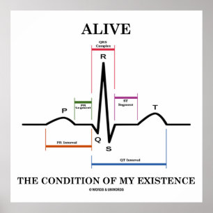Affiches Vivez La Condition De Mon Existence (ECG/EKG)