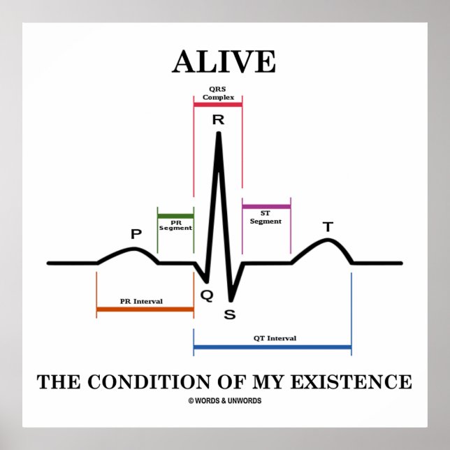 Affiches Vivez La Condition De Mon Existence (ECG/EKG) (Devant)