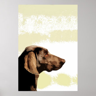 Affiches Vizsla