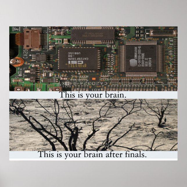 Affiches Voici Ton Cerveau. (Devant)