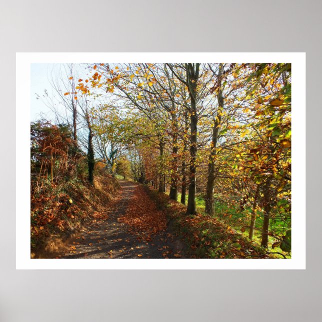 Affiches Voie Jersey en automne (Devant)