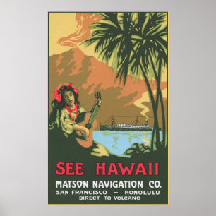 Affiches Voir l'affiche Hawaii