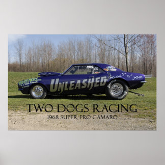 Affiches Voiture Super Pro Drag Déleashed