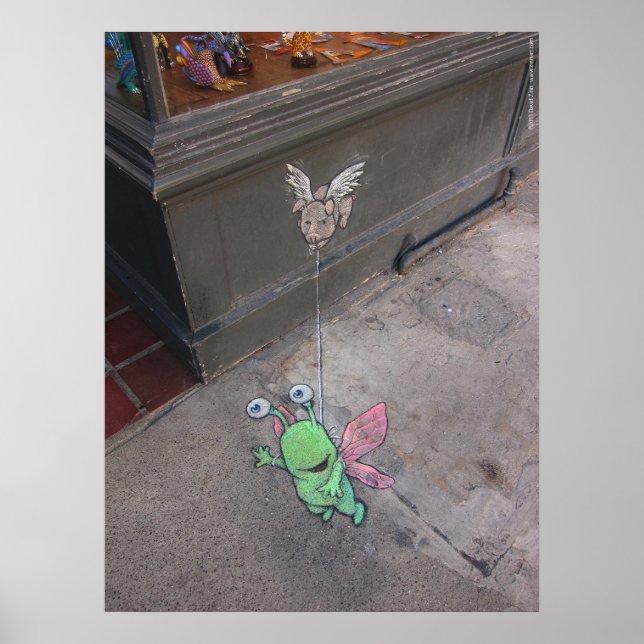 Affiches vol assisté (Devant)