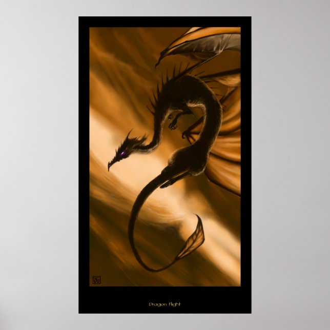 Affiches Vol Dragon (Devant)