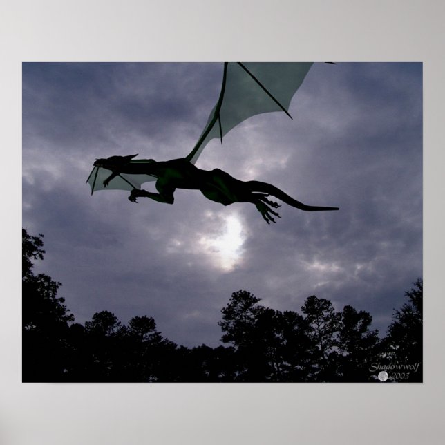 Affiches Vol Dragon (Devant)