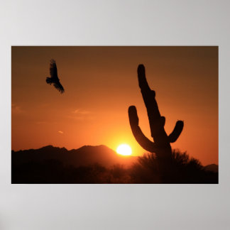 Affiches Vol du coucher du soleil