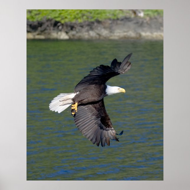 AFFICHES VOL EAGLE (Devant)