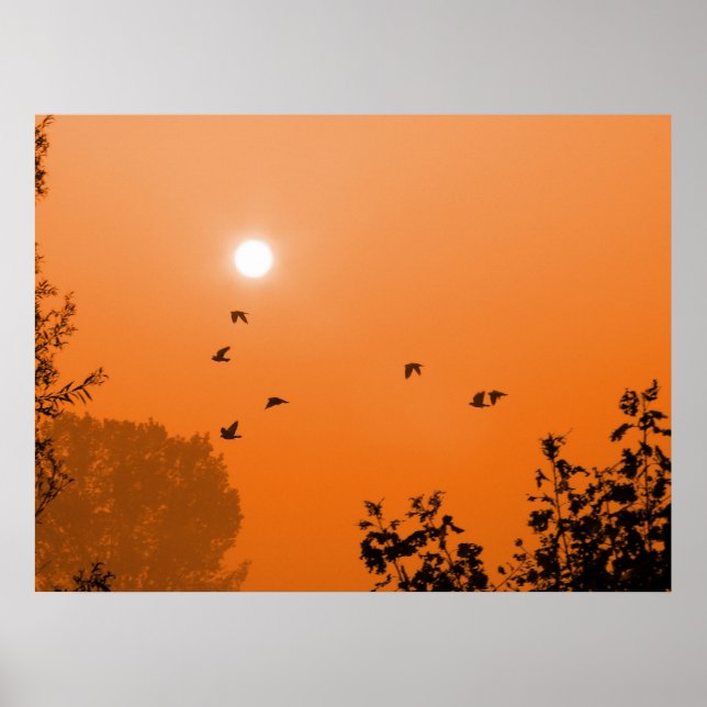 Affiches Voler à l'aube Imprimer (Devant)