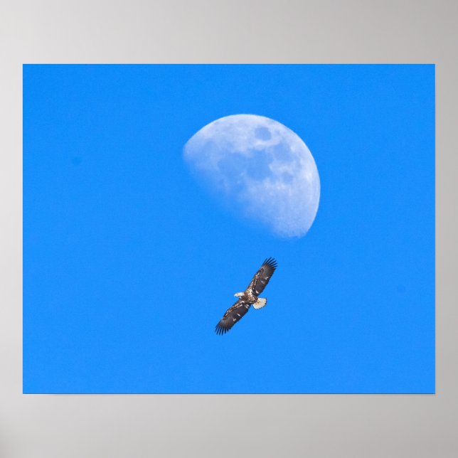 Affiches Voler au-delà de la Lune (Devant)