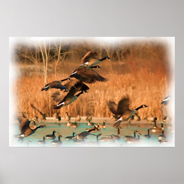 AFFICHES VOLS DE FANCY IMPRIMER (Devant)