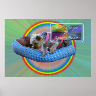 Affiches Vous attendez à Rainbow Bridge