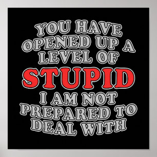 Affiches Vous Avez Ouvert Un Niveau D'Imbécile