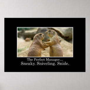 Affiches Vous avez toutes les qualités d'un grand manager [