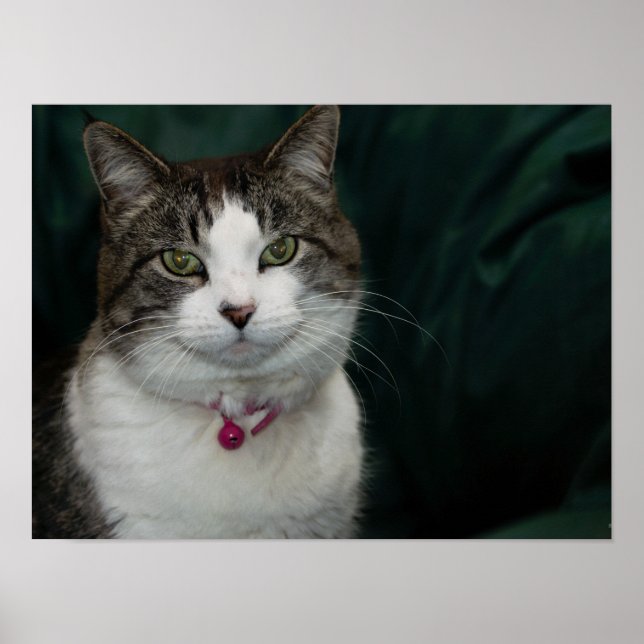 Affiches Vous me regardez en train de vous regarder (Devant)