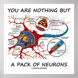 Affiches Vous N'Êtes Rien D'Autre Qu'Un Pack De Neurones (S