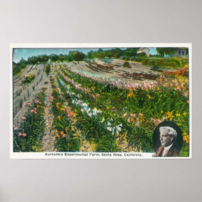 Affiches Vue aérienne de Burbanks Ferme expérimentale (Devant)