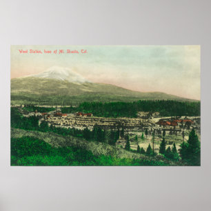 Affiches Vue aérienne de la station de mauvaises herbes à l