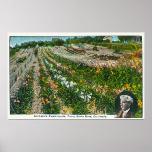 Affiches Vue aérienne de station expérimentale de Burbanks