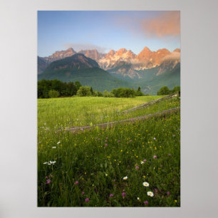 Affiches Vue Alpes Julian