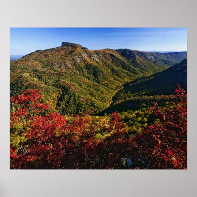Affiches Vue automnale de la gorge de Linville souvent appe (Devant)