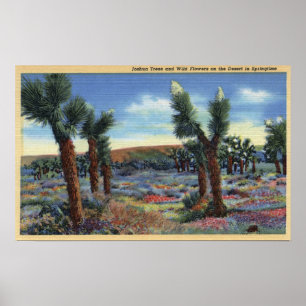 Affiches Vue d'arbres de Joshua et de fleurs sauvages de