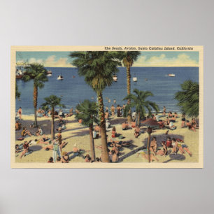 Affiches Vue d'Avalon de plage avec des Sunbathers
