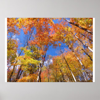 Affiches Vue de l'automne