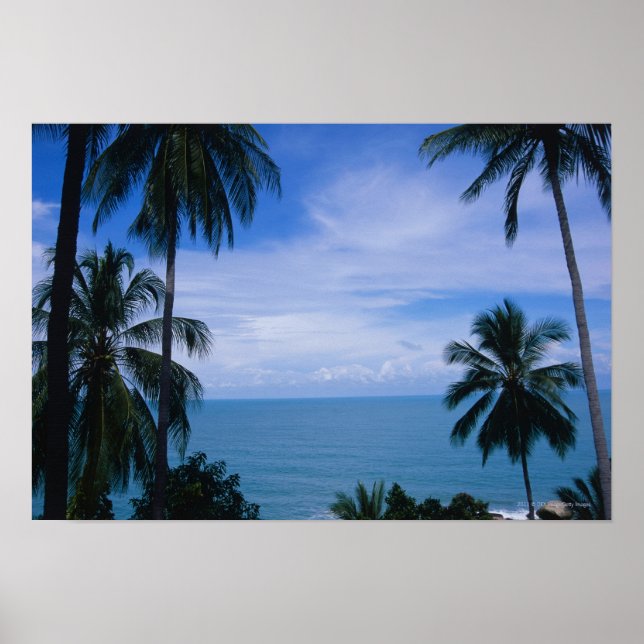 Affiches Vue de l'horizon océanique depuis la terre (Devant)