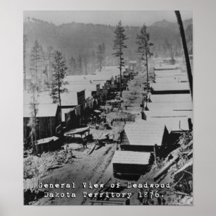 Affiches Vue d'écart-type de bois mort en 1876