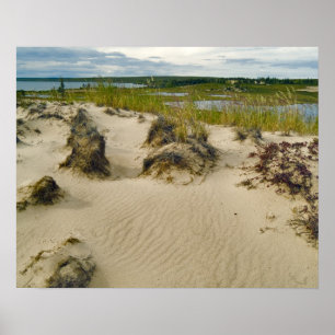 Affiches Vue depuis une colline sablonneuse de lacs et de c