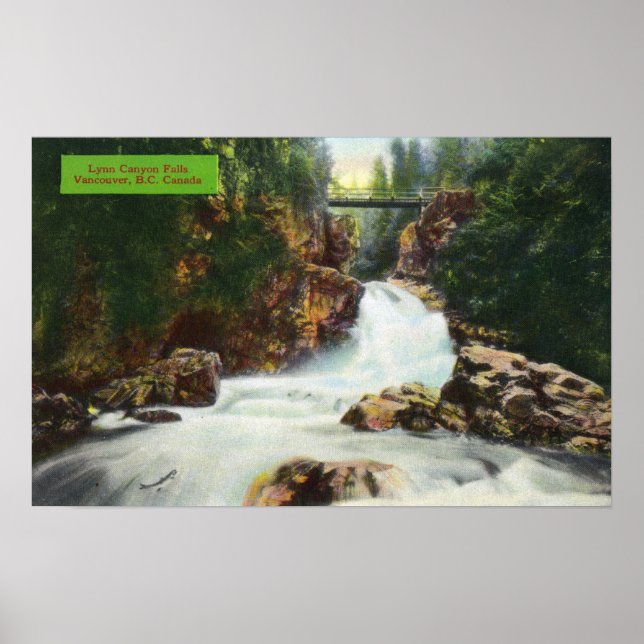 Affiches Vue des chutes Lynn Canyon (Devant)