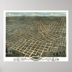 Affiches Vue d'oeil de 1871 oiseaux panoramique de carte