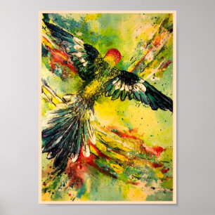 Affiches Vue d'oeil d'oiseaux