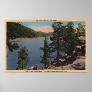 Affiches Vue du lac par les pins