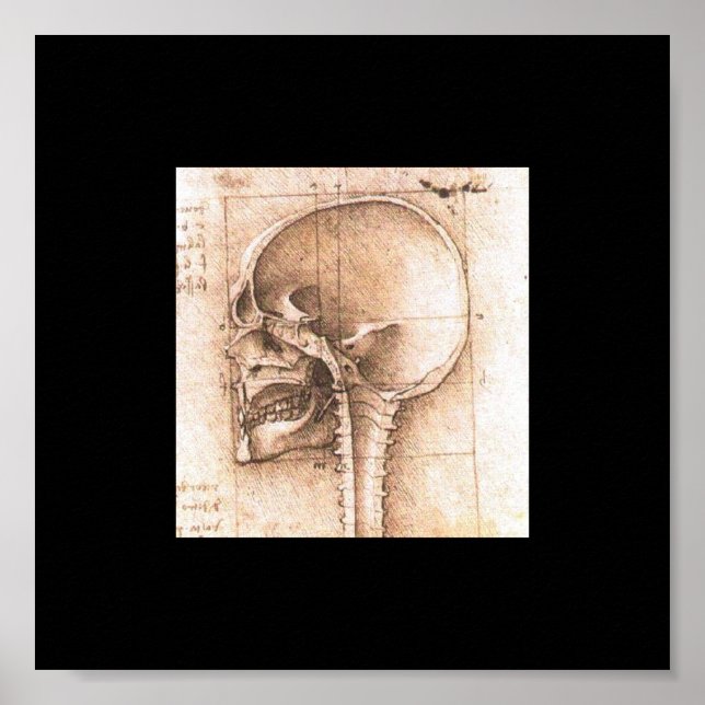 Affiches Vue d'un crâne par Léonard de Vinci c. 1489 (Devant)