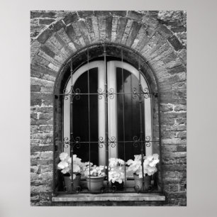Affiches Vue en noir et blanc d'une fenêtre et de pots de f