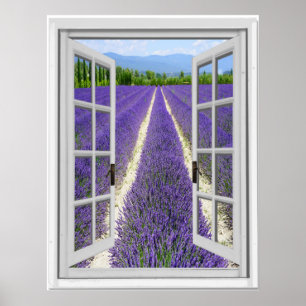 Affiches Vue Fausse fenêtre du champ Lavender