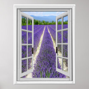 Affiches Vue Fausse fenêtre du champ Lavender
