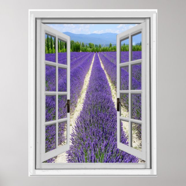 Affiches Vue Fausse fenêtre du champ Lavender (Devant)