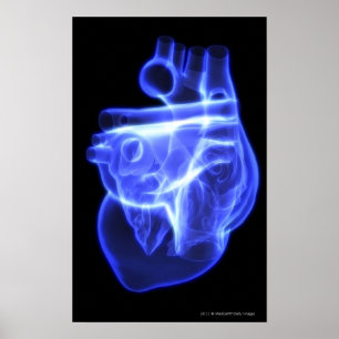 Affiches Vue luminescente du coeur humain