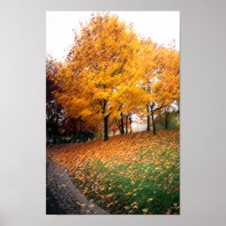 Affiches Vue magnifique d'automne