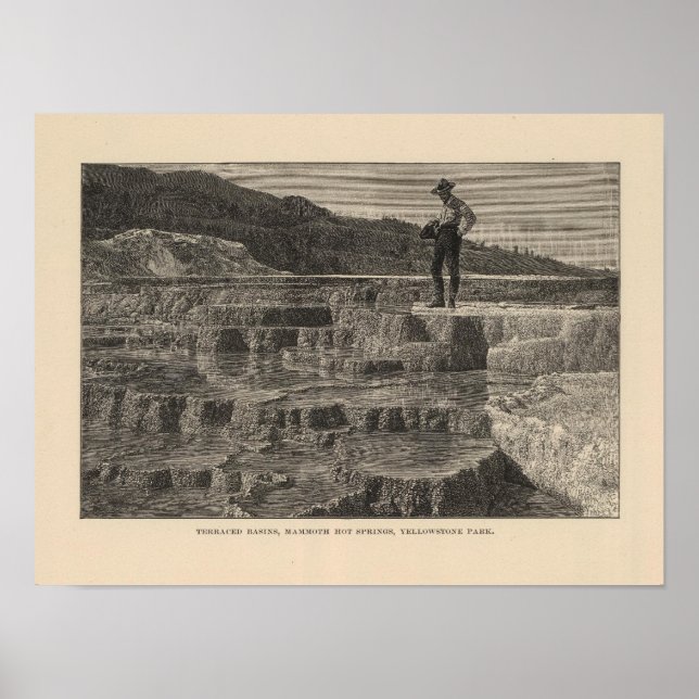 Affiches Vue Mammoth Hot Springs (Devant)