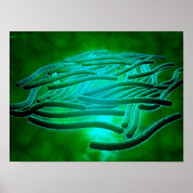 Affiches Vue Microscopique De Legionella Pneumophila 1 (Devant)